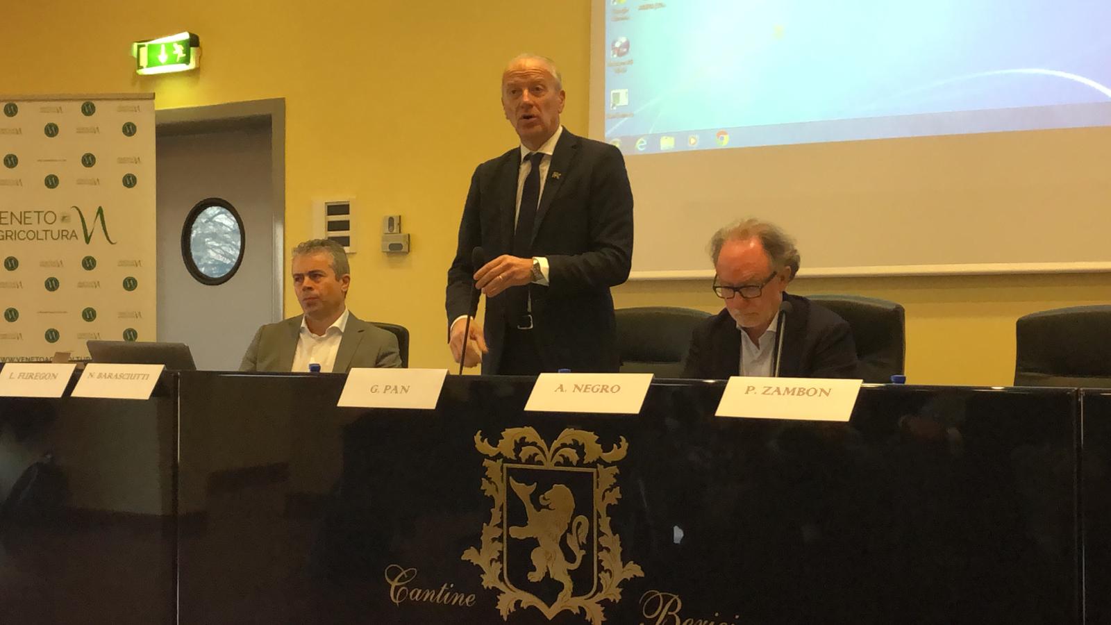  VITICOLTURA: IN VENETO IL 2018 E' STATO UN ANNO RECORD